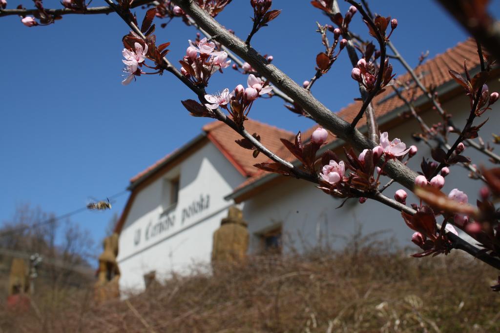 Penzion U Cerneho Potoka Nova Lhota  Bagian luar foto